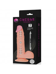 BAILE - FUNZIONE UP & DOWN DEL DILDO REALISTICO DEL TESORO DI CAESAR