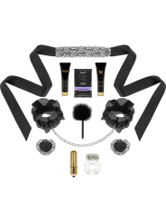 SECRET ROOM - PLEASURE KIT ARGENTO LIVELLO 1