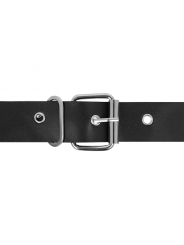 HARNESS ATTRACTION - RNES TAYLOR DELUXE 18 CM -O- 4.5 CM