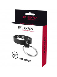 DARKNESS - ANELLO IN METALLO PER PENE E TESTICOLI