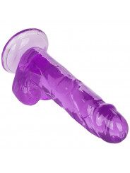 CALEXOTICS - DILDO REGINA TAGLIA VIOLA 15.3 CM