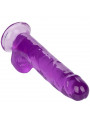 CALEXOTICS - DILDO REGINA TAGLIA VIOLA 20.3 CM