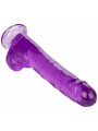 CALEXOTICS - DILDO REGINA TAGLIA VIOLA 25.5 CM