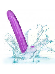 CALEXOTICS - DILDO REGINA TAGLIA VIOLA 25.5 CM