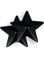 COQUETTE CHIC DESIRE - COPRI CAPEZZOLI BLACK STARS