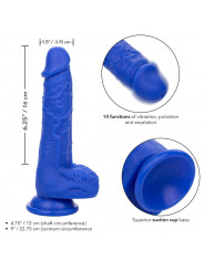 CALEXOTICS - ADMIRAL VIBRATORE DILDO REALISTICO SAILOR BLU