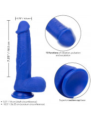 CALEXOTICS - ADMIRAL VIBRATORE DILDO REALISTICO DEL CAPITANO BLU