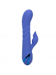 CALEXOTICS - LA LOVE VIBRATOR & SUCKER BLUE DI CALIFORNIA DREAMING