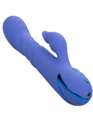 CALEXOTICS - LA LOVE VIBRATOR & SUCKER BLUE DI CALIFORNIA DREAMING