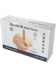 SILEXD - APOLLO S TORSO INFERIORE MASCHILE REALISTICO