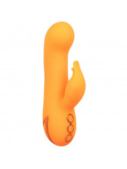 CALEXOTICS - MONTECITO MUSE VIBRATORE RABBIT ORANGE BY CALIFORNIA DREAMING