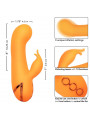 CALEXOTICS - MONTECITO MUSE VIBRATORE RABBIT ORANGE BY CALIFORNIA DREAMING