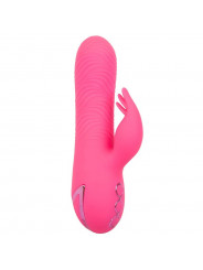 CALEXOTICS - SACRAMENTO SWEETIE VIBRATORE RABBIT PINK BY CALIFORNIA DREAMING