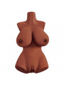 PDX PLUS - TORSO PERFECT 10 MARRONE