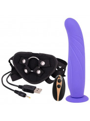 SEVEN CREATIONS - CINGHIA SULL IMBRACATURA CON DILDO 24 CM