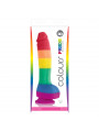 PRIDE - DILDO BANDIERA LGBT 19 CM