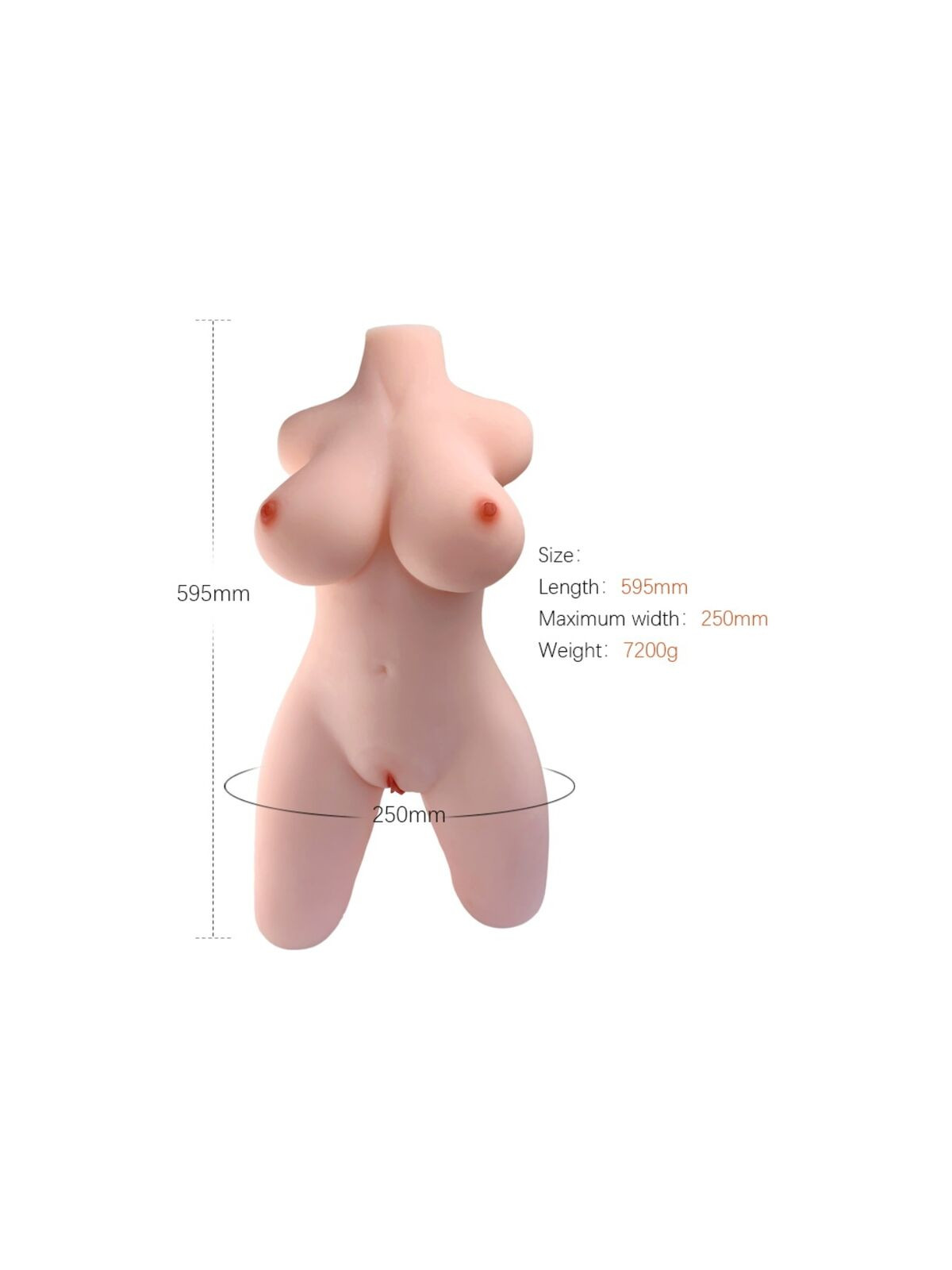 ARMONY - MODELLO REALISTICO DI TORSO FEMMINILE 2