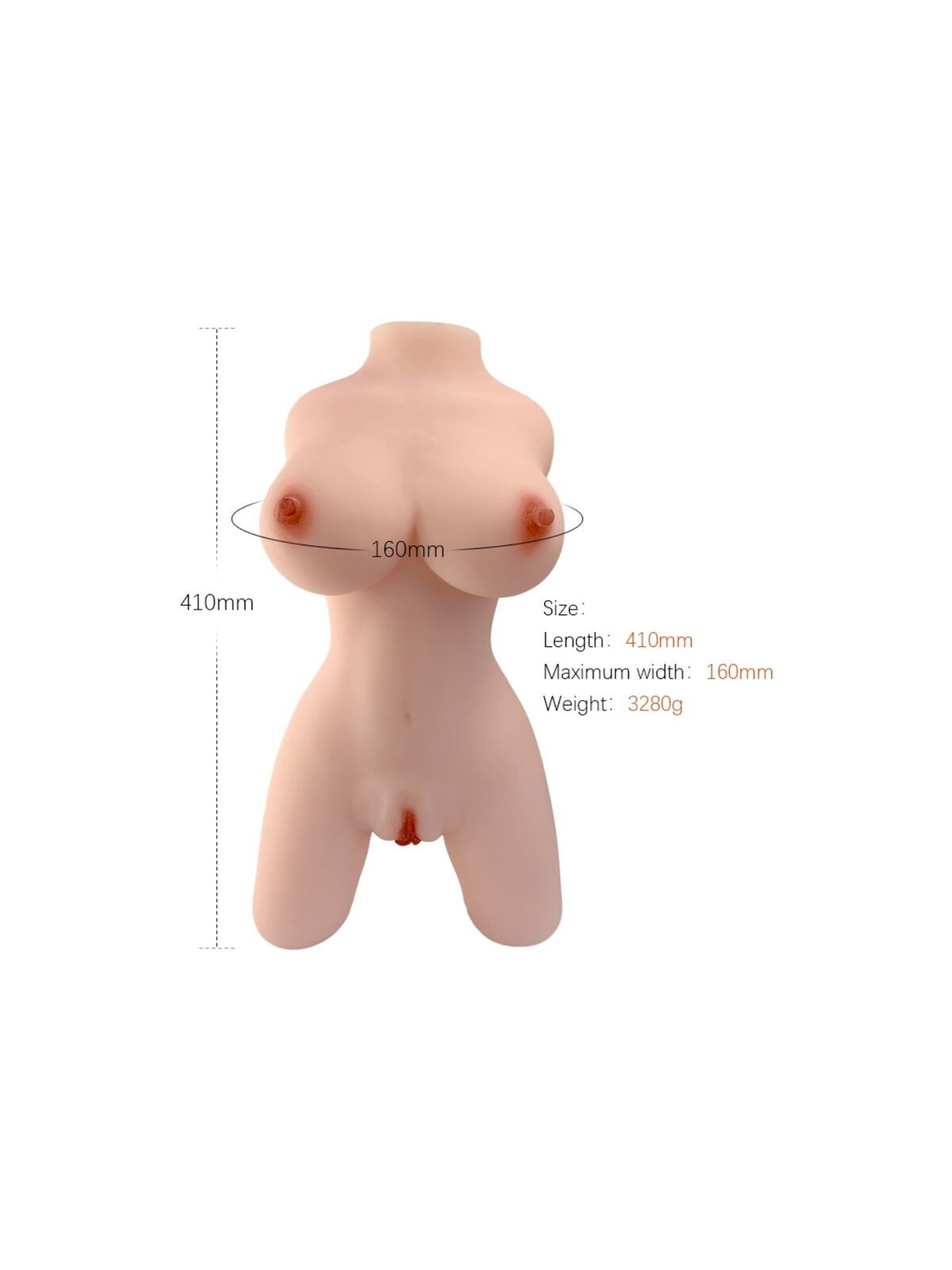 ARMONY - MODELLO REALISTICO DI TORSO FEMMINILE 4