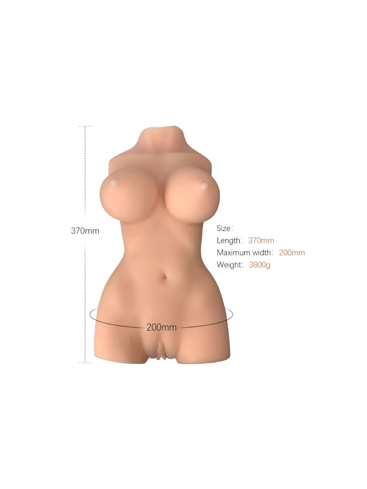 ARMONY - MODELLO REALISTICO DI TORSO FEMMINILE 7