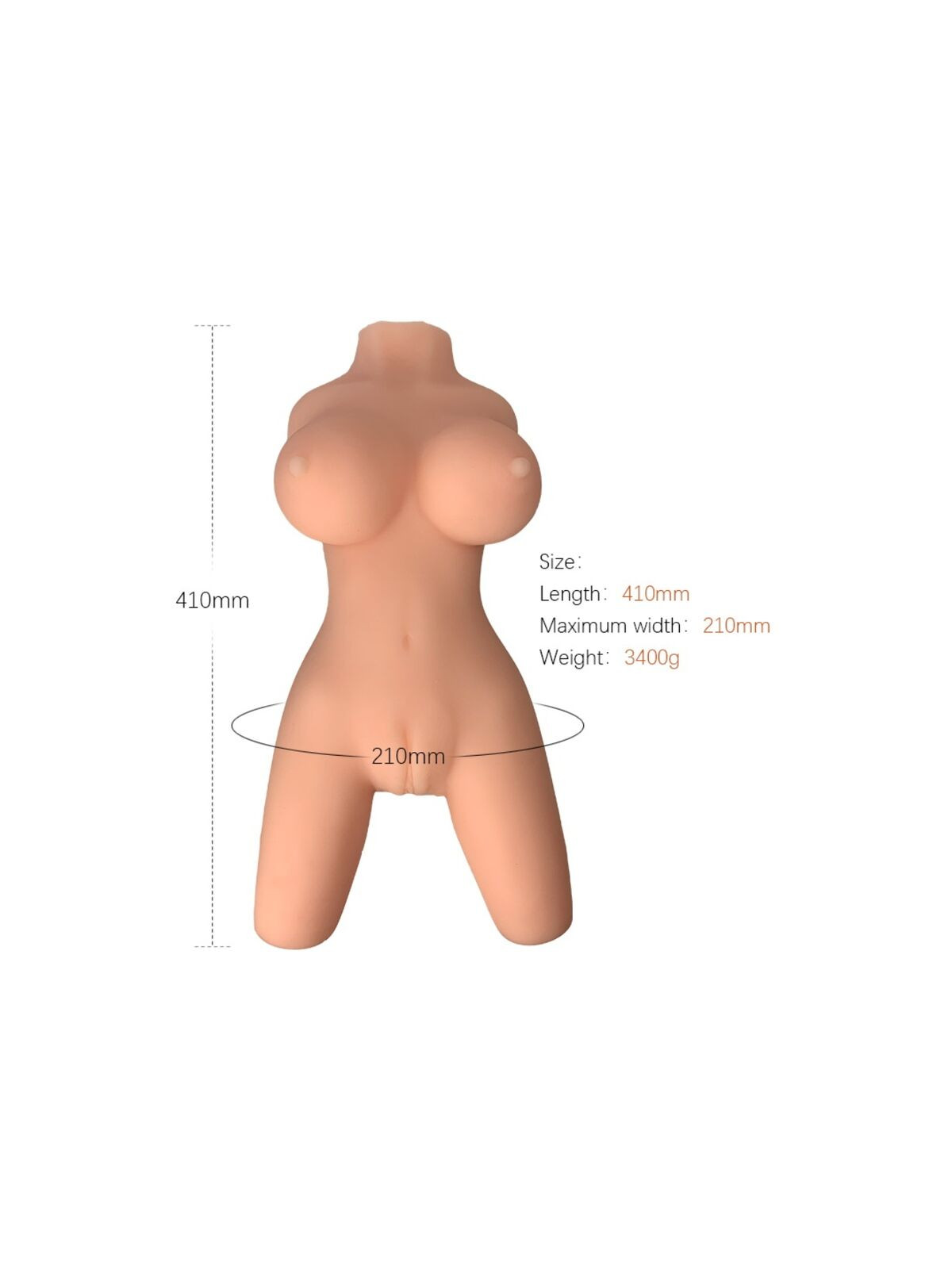 ARMONY - MODELLO REALISTICO DI TORSO FEMMINILE 8